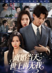 离婚当天世上再无我(全集)