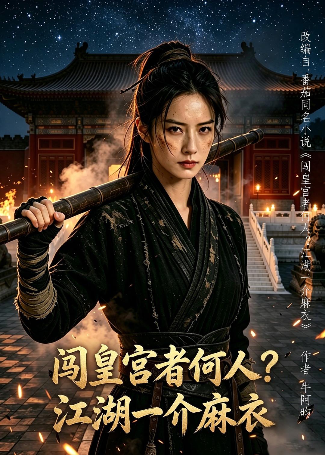 闯皇宫者何人？江湖一介麻衣(全集)