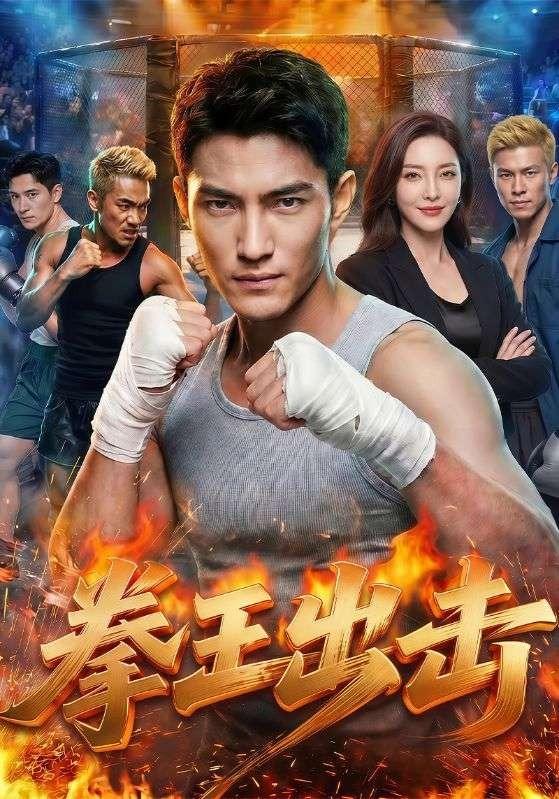 拳王出击(全集)