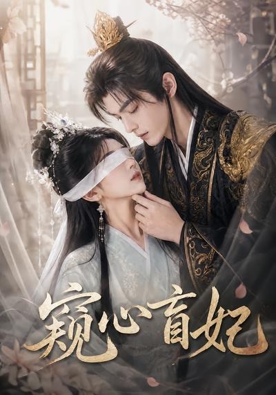 窥心盲妃(全集)