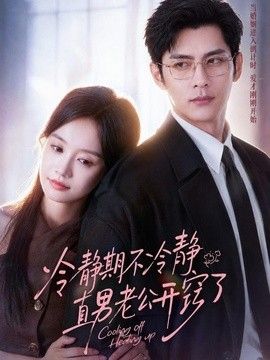 冷静期不冷静，直男老公开窍了(全集)