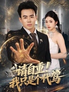 请自重！我只是个代驾(全集)