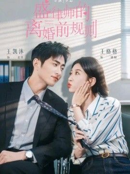 盛律师的离婚前规则(全集)