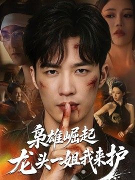 枭雄崛起，龙头一姐我来护(全集)