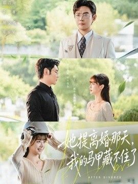 她提离婚那天，我的马甲藏不住(全集)