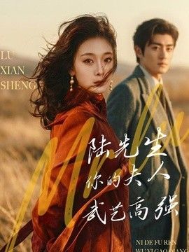 陆先生，你的夫人武艺高强(全集)