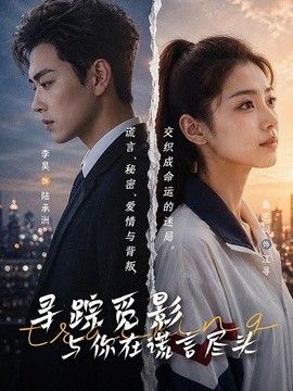 寻踪觅影：与你在谎言尽头(全集)