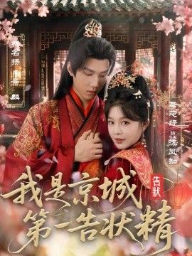 我是京城第一告状精(全集)